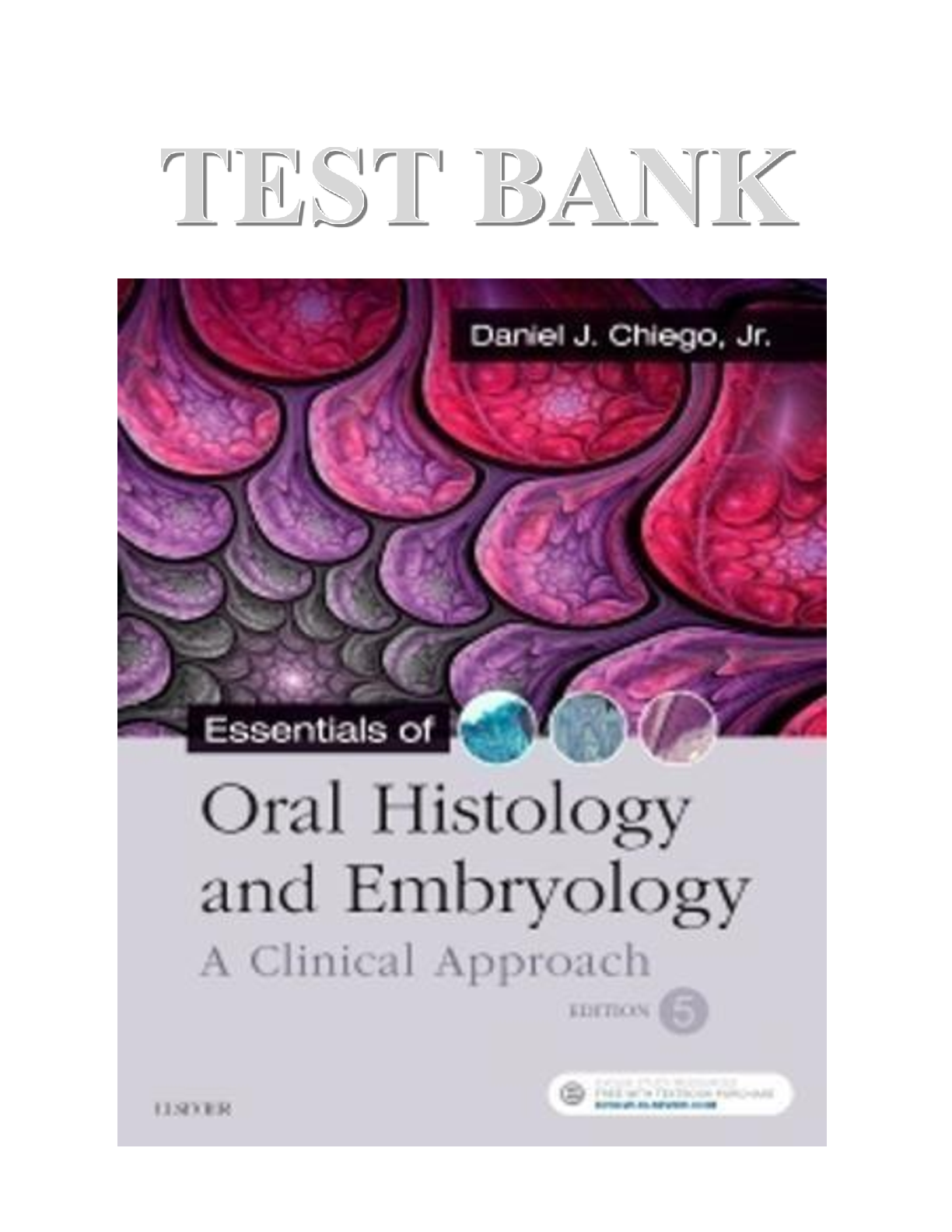 Preview image for Test bank for essentials of oral histology and embryology 5th edition daniel j chiego